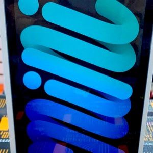 Apple IPad Mini 256Wi-Fi+Cellular